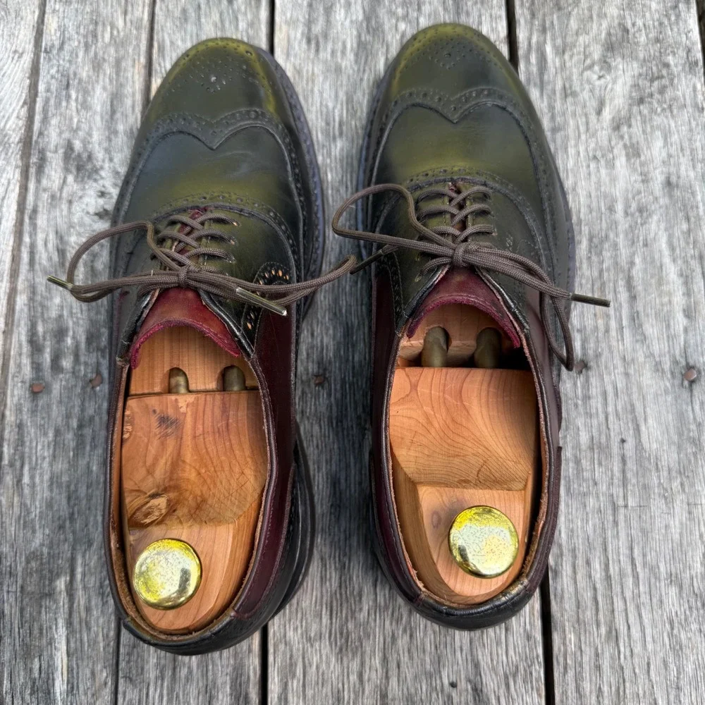 Proxon wingtip oxfords